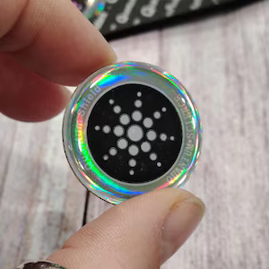 Voriti Chip